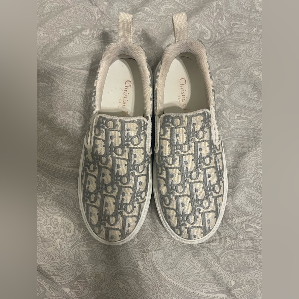 Dior solar oblique embroid sneaker in Grey Stone